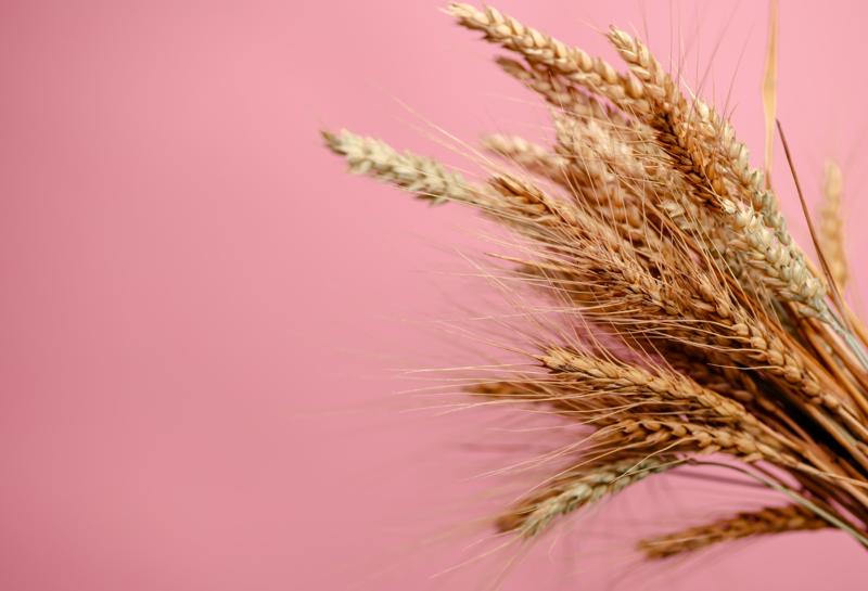 WEIZENPROTEINE HAARE - EWALD HAIR CARE